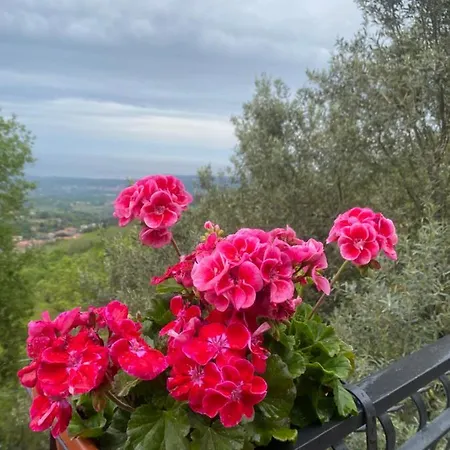 Maria * Zafferana Etnea