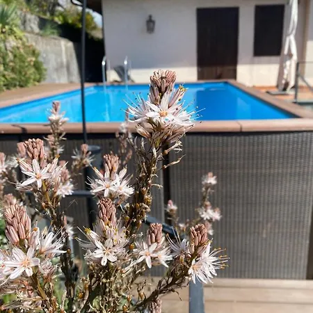 Maria Villa